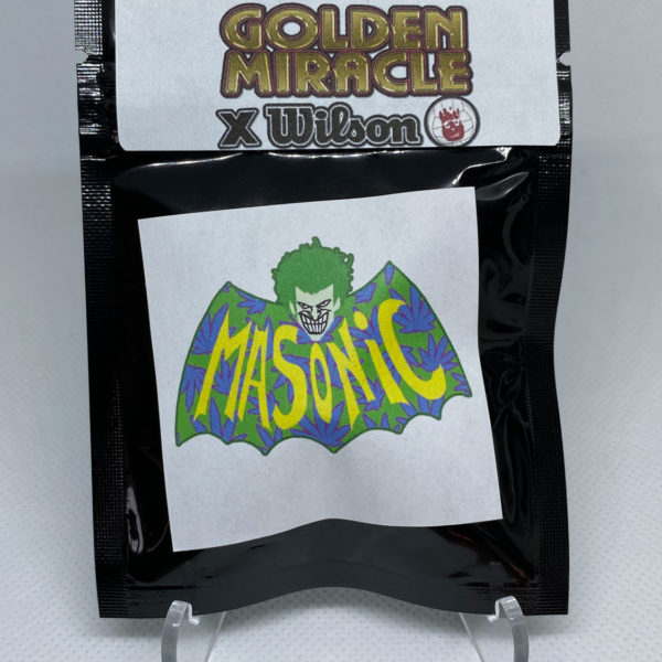 Masonic Seeds - Golden Miracle x Wilson