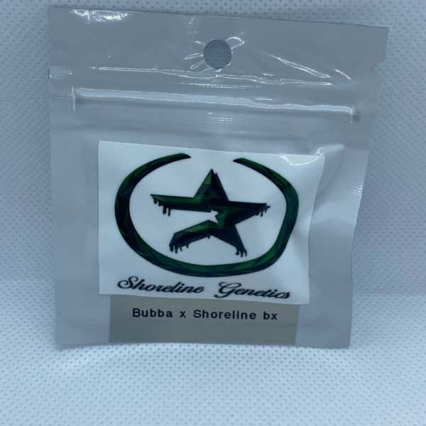 Shoreline Genetics - Bubba x Shoreline Bx