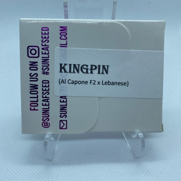 Sunleaf Seed Co - Kingpin