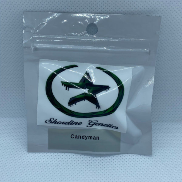 Shoreline Genetics - Candyman