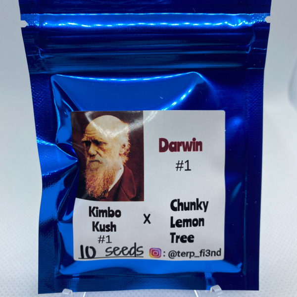 Terp_fi3nd - Darwin #1