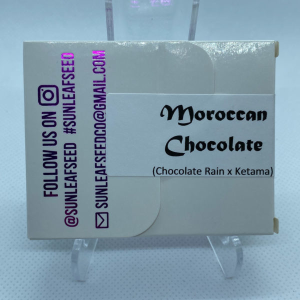 Sunleaf Seed Co - Moroccan Chocolate