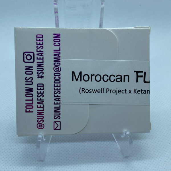 Sunleaf Seed Co - Moroccan Fuel