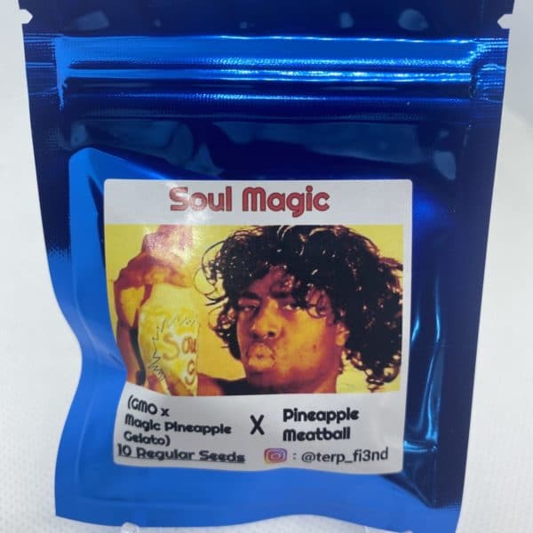 Terp_fi3nd - Soul Magic