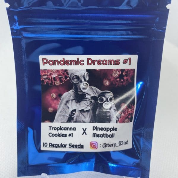 Terp_fi3nd - Pandemic Dreams #1