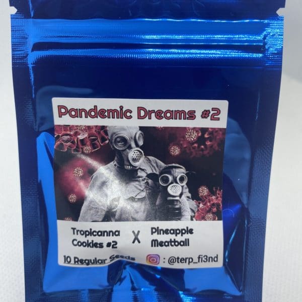Terp_fi3nd - Pandemic Dreams #2
