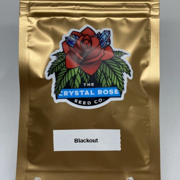 Crystal Rose Seed Co - Blackout