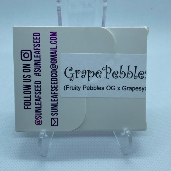 Sunleaf Seed Co - Grape Pebbles