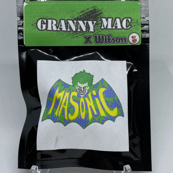 Masonic Seeds - Granny Mac x Wilson