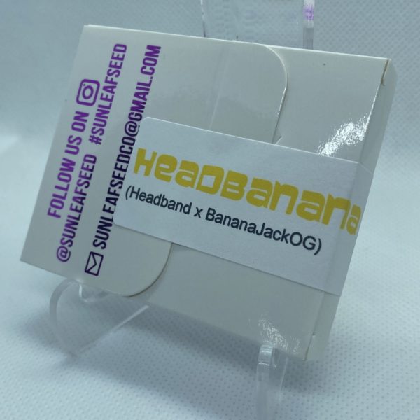Sunleaf Seed Co - HeadBanana