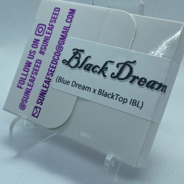 Sunleaf Seed Co - Black Dream