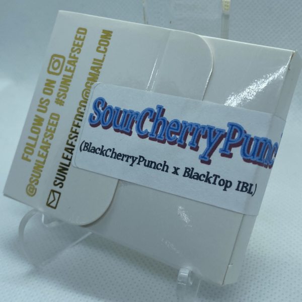 Sunleaf Seed Co - Sour Cherry Punch