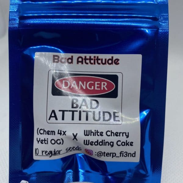 Terp_fi3nd - Bad Attitude