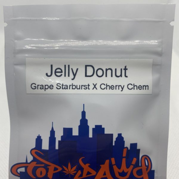 Top Dawg Seeds - Jelly Donut