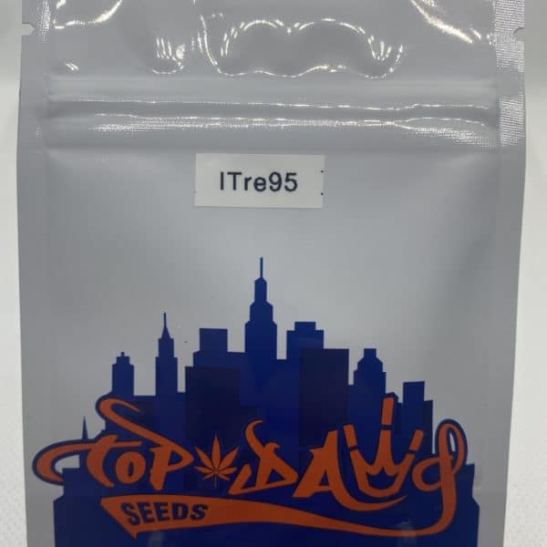 Top Dawg Seeds - I-Tre-95