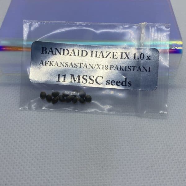 Magic Spirit Seed Co - Bandaid Haze IX 1.0 x Afkansastan/X18 Pakistani