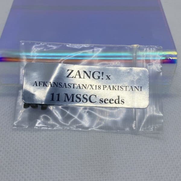 Magic Spirit Seed Co - Zang! x Afkansastan/X18 Pakistani