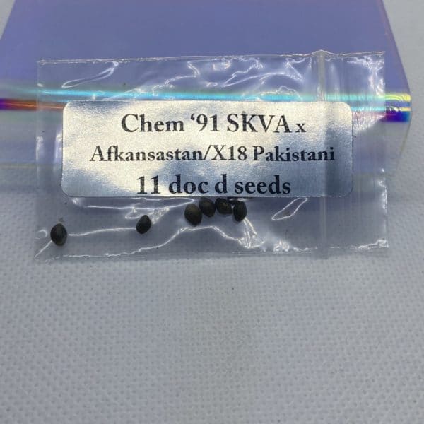 Magic Spirit Seed Co - Chem '91 SKVA x Afkansastan/X18 Pakistani