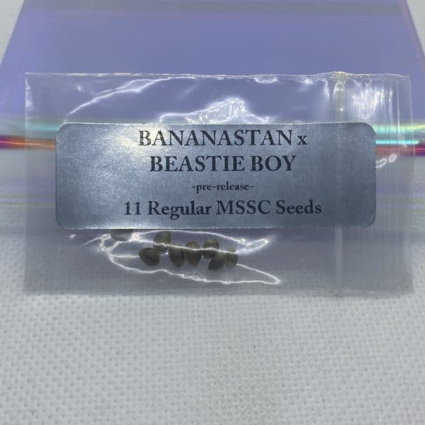 Magic Spirit Seed Co - Bananastan x Beastie Boy