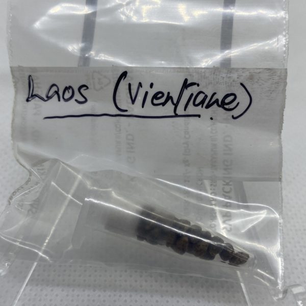 Indian Landrace Exchange - Laos (Vientiane province)