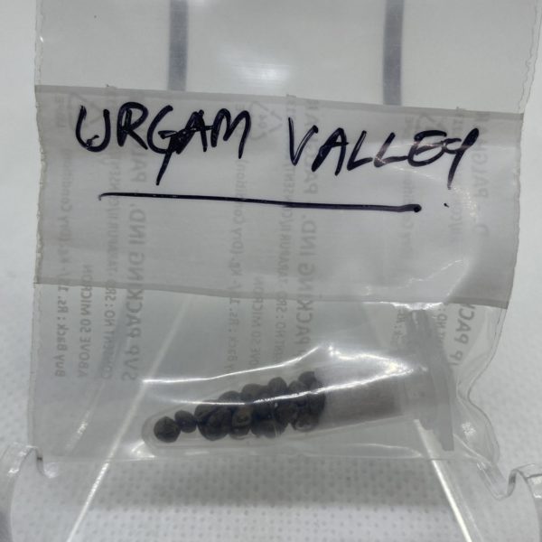 Indian Landrace Exchange - Urgam Valley (Chamoli)