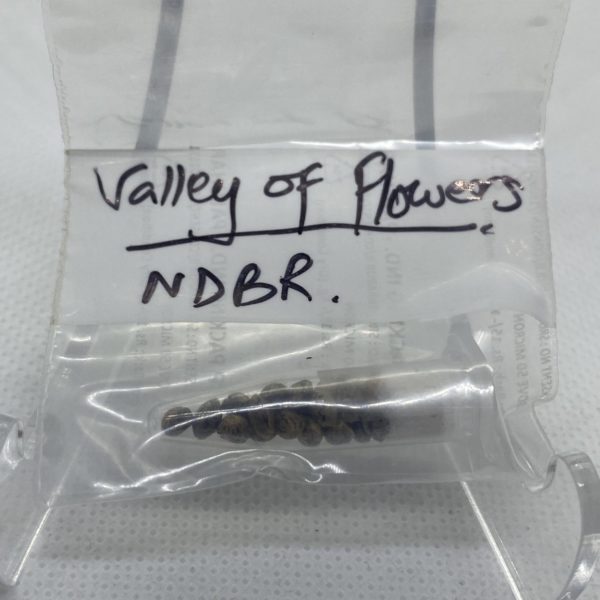 Indian Landrace Exchange - Valley of Flowers (NDBR)
