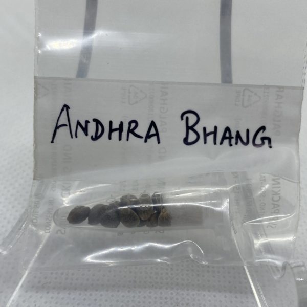 Indian Landrace Exchange - Andhra Bhang variety