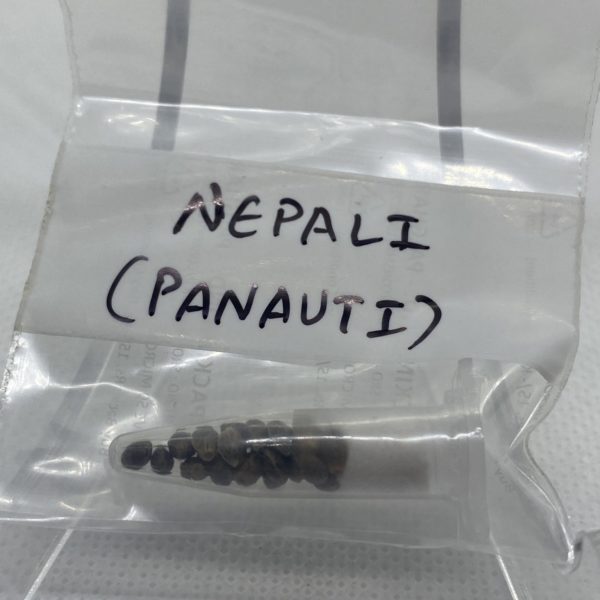Indian Landrace Exchange - Highland Nepali (Panauti Village)