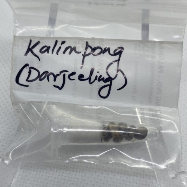 Indian Landrace Exchange - Kalimpong, Darjeeling (West Bengal)