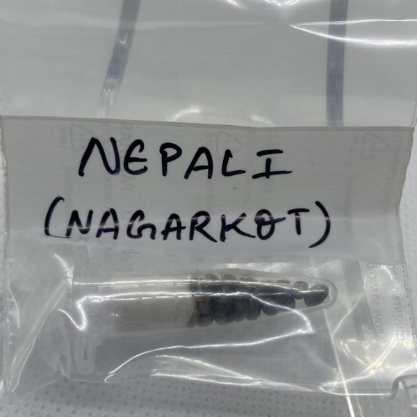 Indian Landrace Exchange - Highland Nepali (Nagarkot)