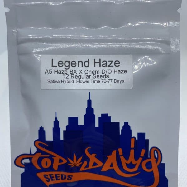 Top Dawg Seeds - Legend Haze