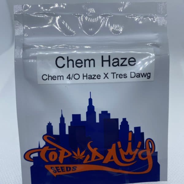Top Dawg Seeds - Chem Haze