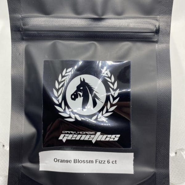 Dark Horse Genetics - Orange Blossom Fizz