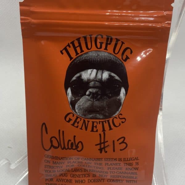 Thug Pug/Secret Society - Collab #13