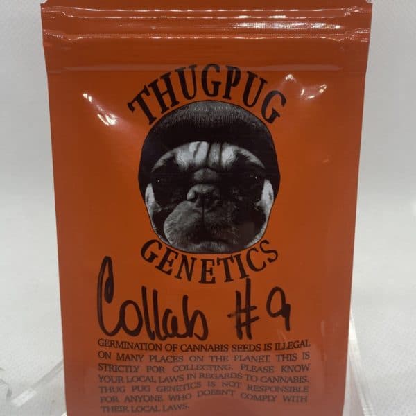 Thug Pug/Secret Society - Collab #9