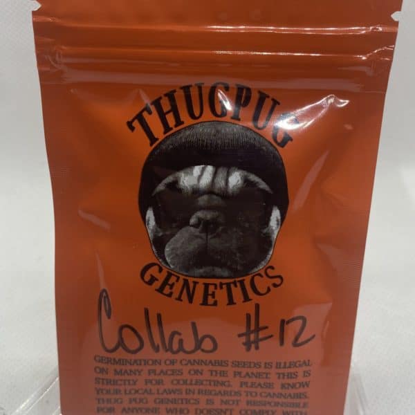Thug Pug/Secret Society - Collab #12