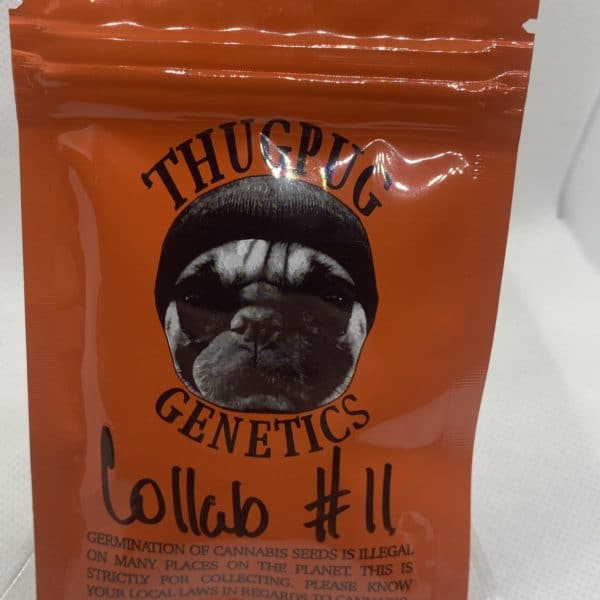 Thug Pug/Secret Society - Collab #11