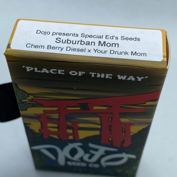 Dojo/Special Ed - Suburban Mom