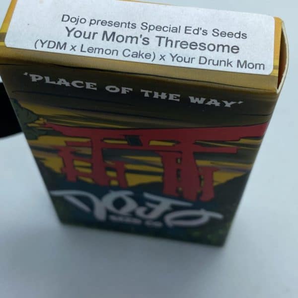 Dojo/Special Ed - Your Mom's Threesome