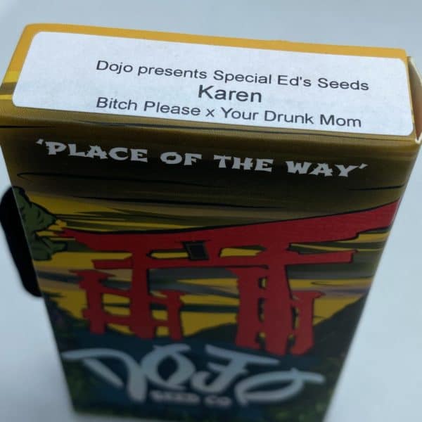 Dojo/Special Ed - Karen