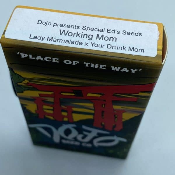 Dojo/Special Ed- Working Mom