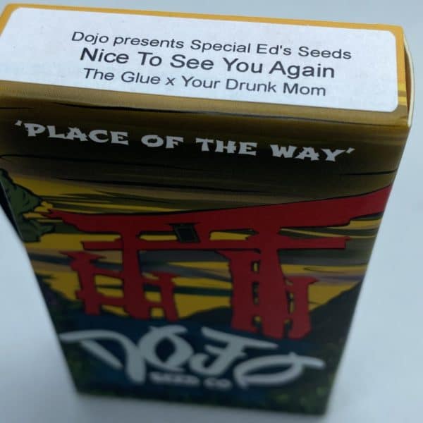 Dojo/Special Ed - Nice To See You Again