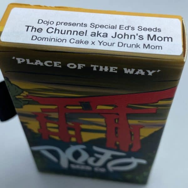 Dojo/Special Ed - The Chunnel aka John's Mom
