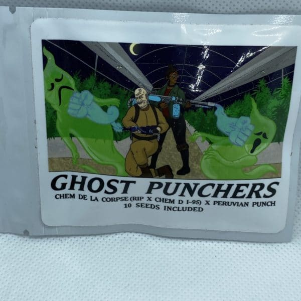 Heart & Soil - Ghost Punchers