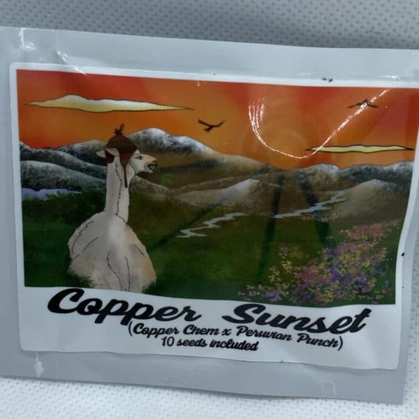 Heart & Soil - Copper Sunset
