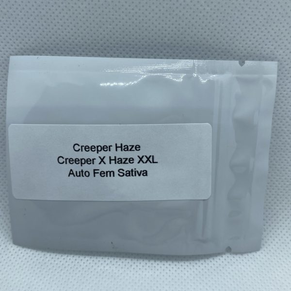 Master Sensei Genetics - Creeper Haze (Auto Fem)