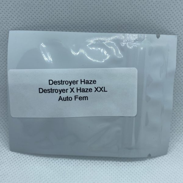Master Sensei - Destroyer Haze