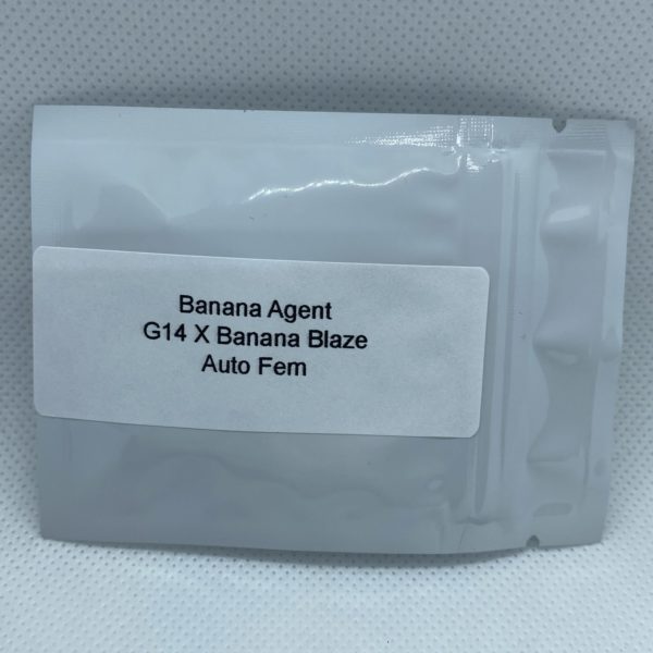 Master Sensei - Banana Agent