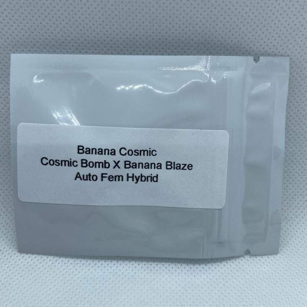 Master Sensei - Banana Cosmic