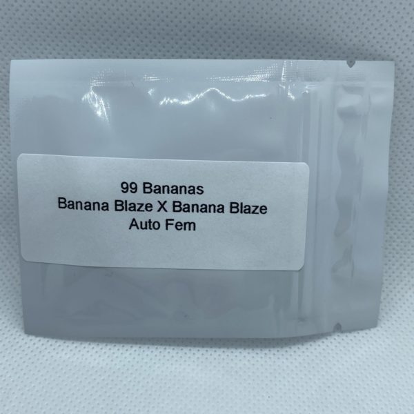 Master Sensei - 99 Bananas